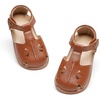 Bc311-brown
